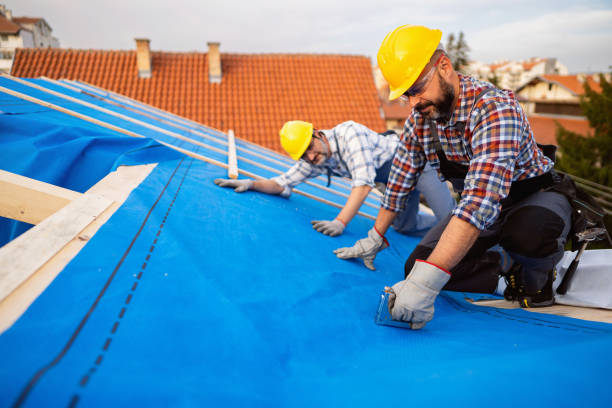 Roof Coating Services in Mckees Rocks, PA